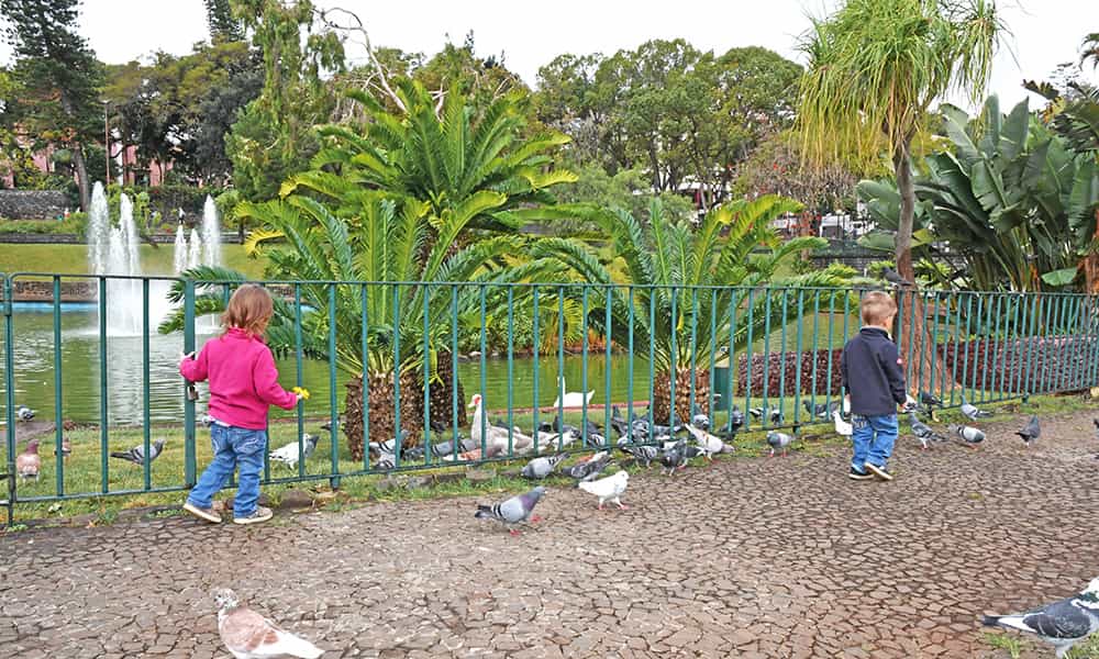 childen at the botanical garden in Funchal on their madeira Itinerary