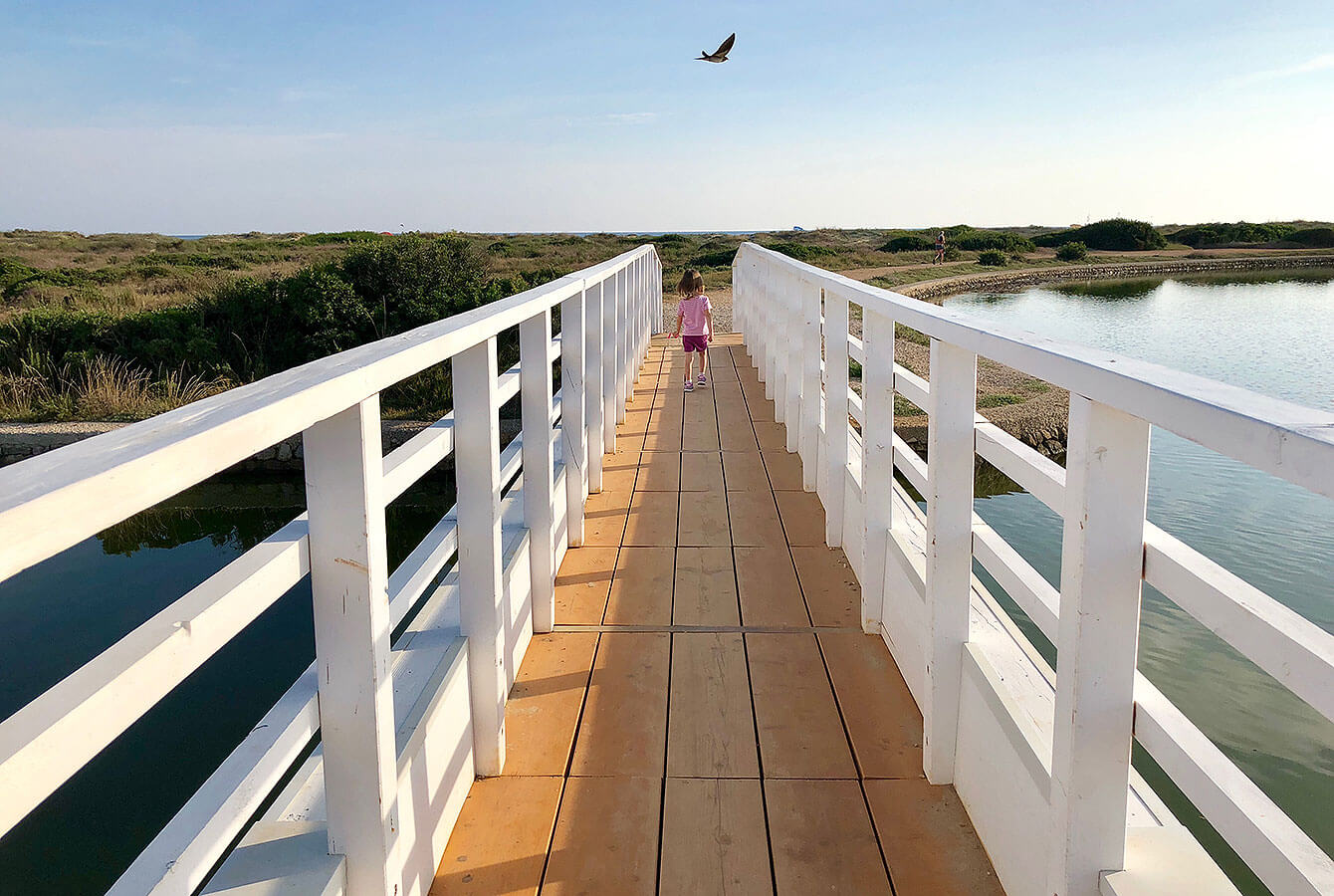 Walk way to the beach