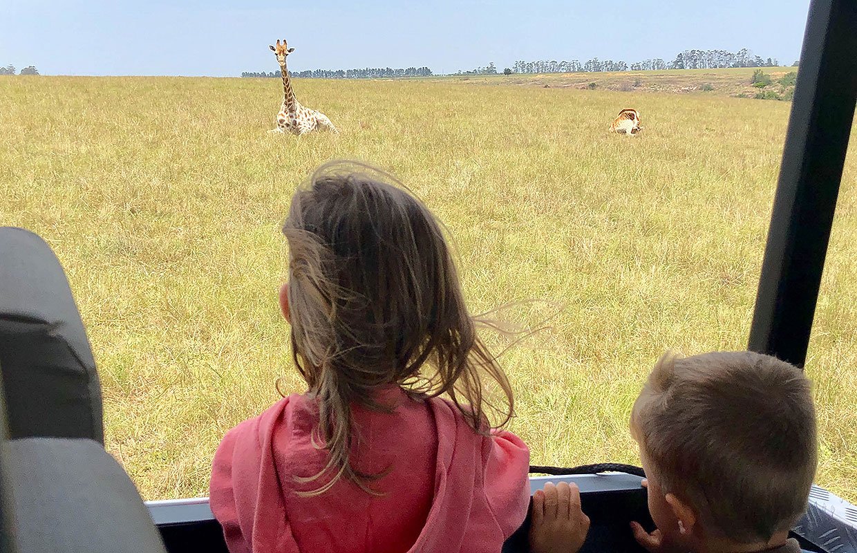 Safari Game Drive with Kids