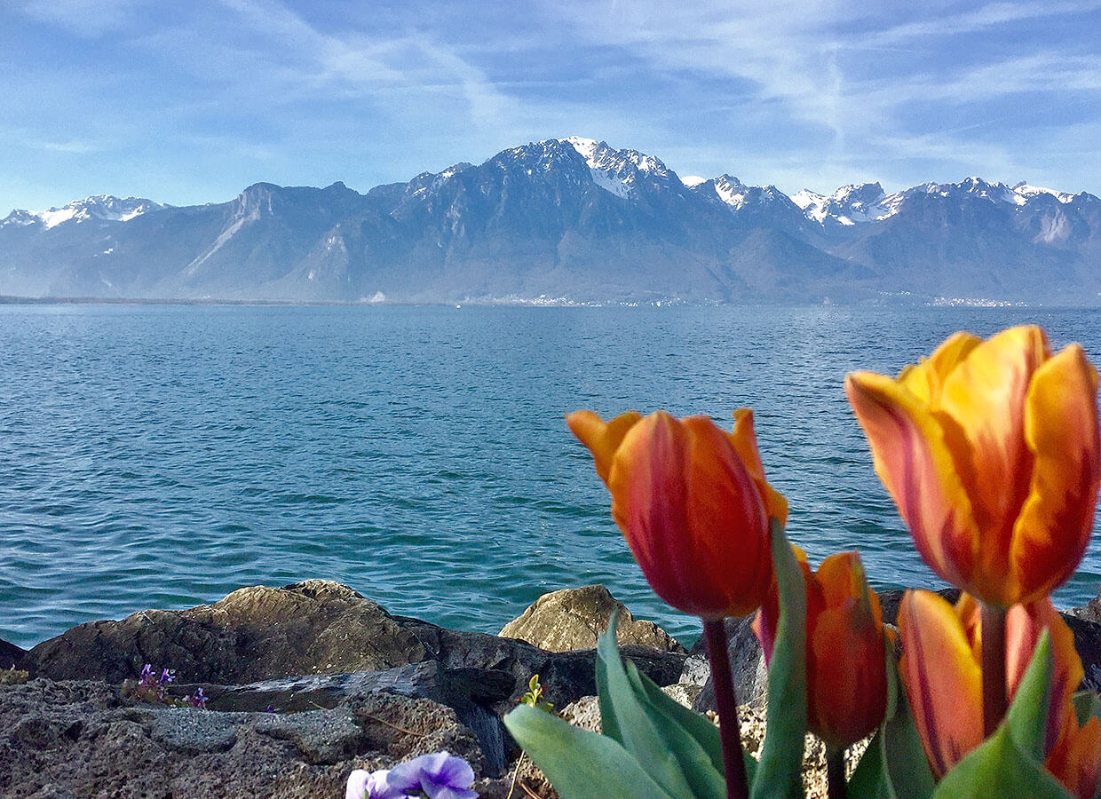  Lac Lemon Montreux - Vaude