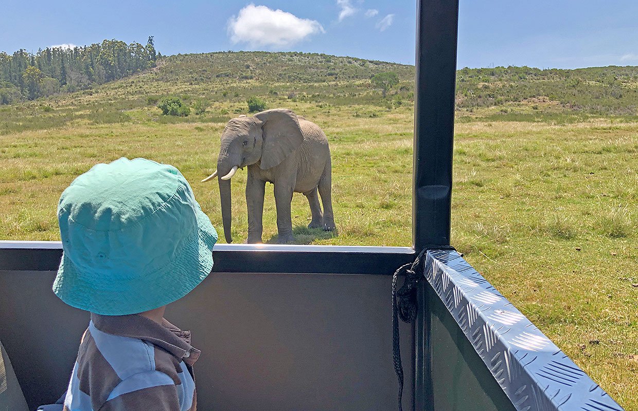 Safari Game drive with Kids