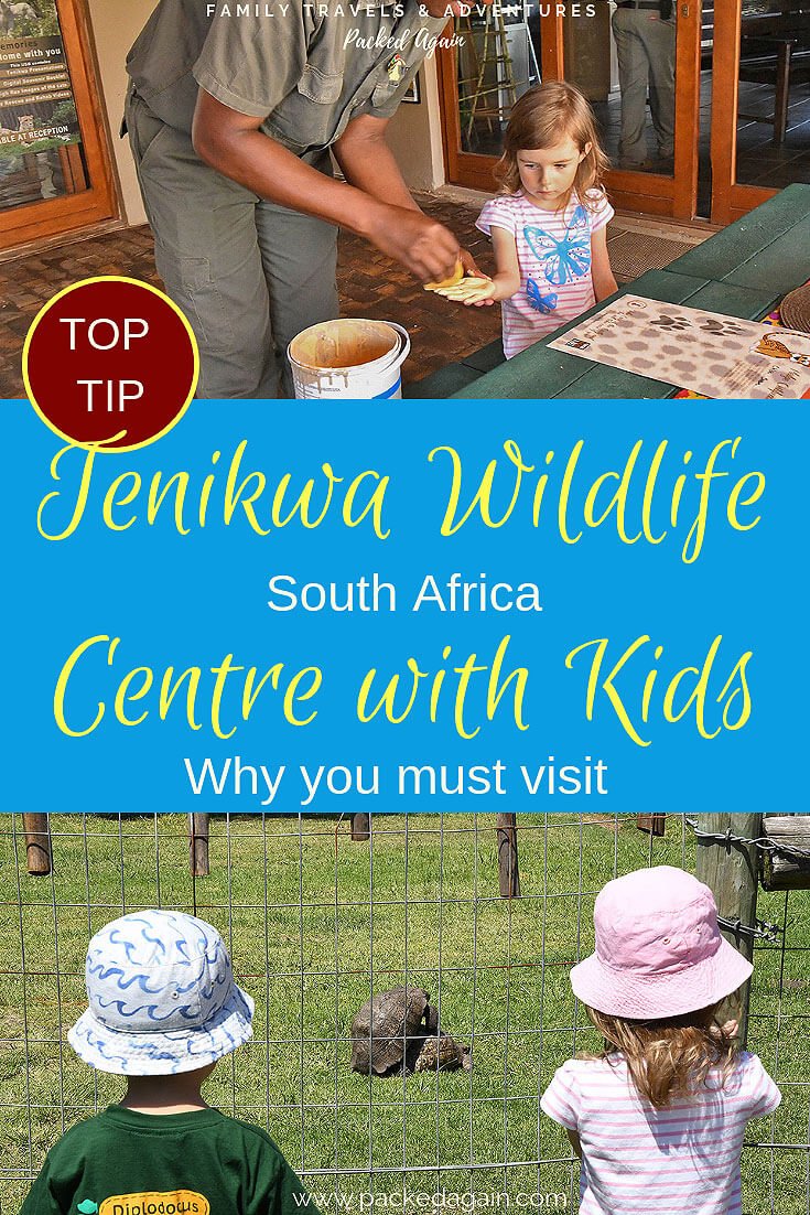 Tenikwa, best rehabilitation and wildlife centre with kids.