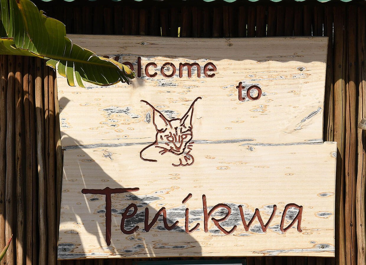 Welcomer at Tenikwa Awareness & Rehabilitation Center