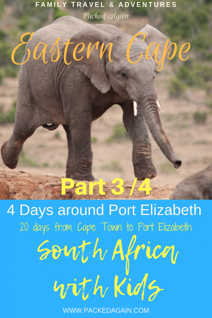 Part 3 of 4 travelling South Africa with kids