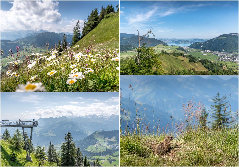 different views from the panorama path at the Stanserhorn