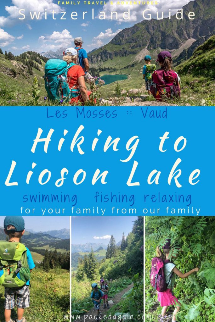 pin to the hike to Lac Lioson in Vaud