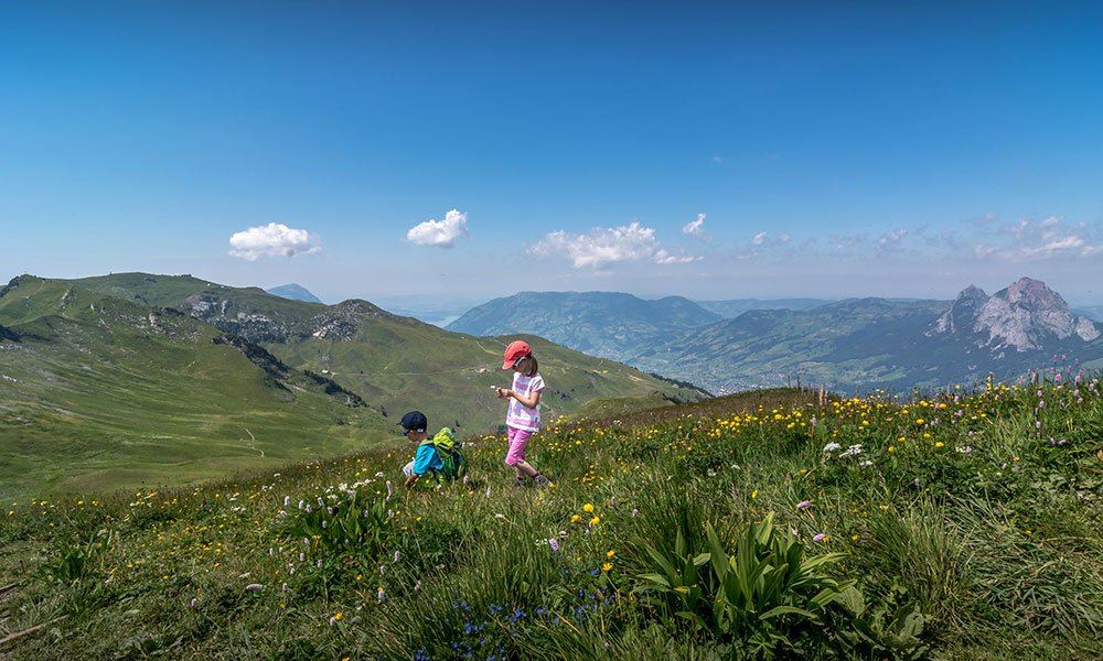 children playing in an alpine field with flowers on a road trip through Switzerland 