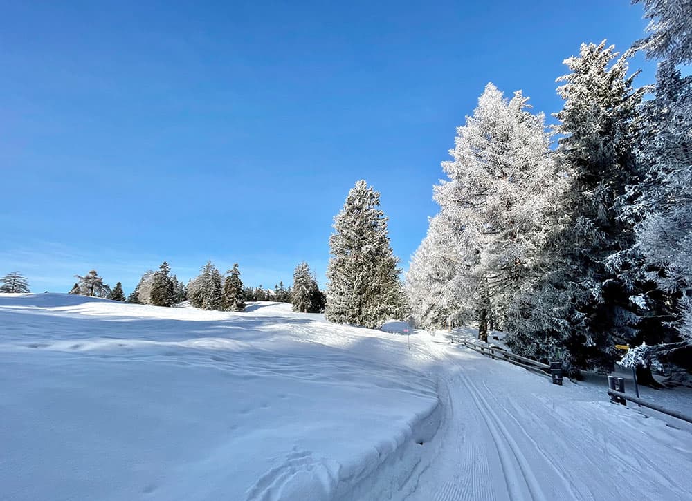 wintery landscape in Valais