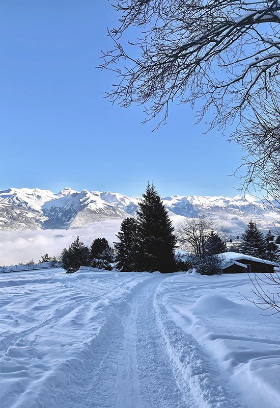 snowshoe track in Nendaz