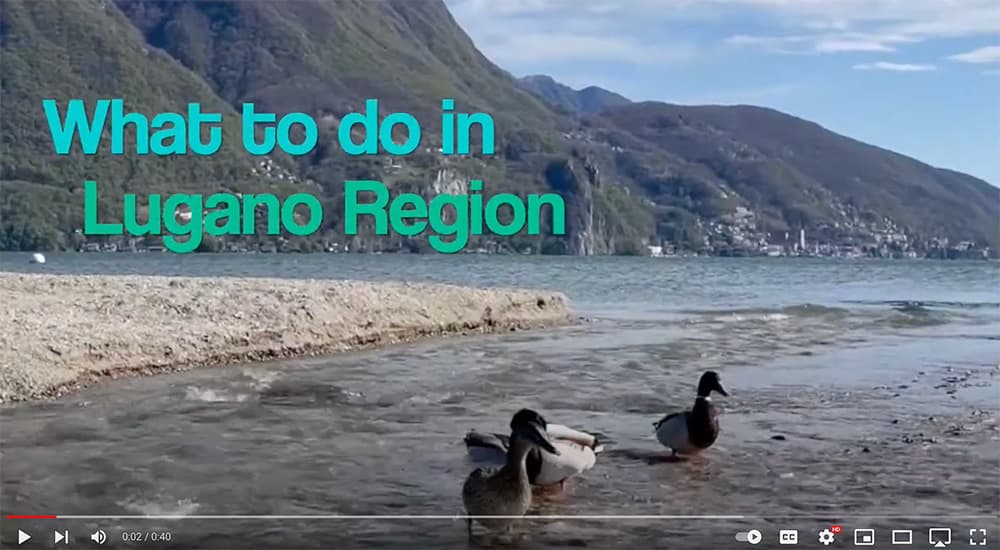Ducks in lago di Luagno on a video Cover