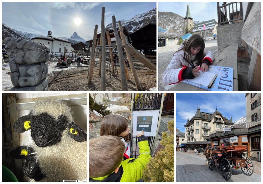 Verschiedene Bilder der Wolli-Schatzsuche in Zermatt im Winter