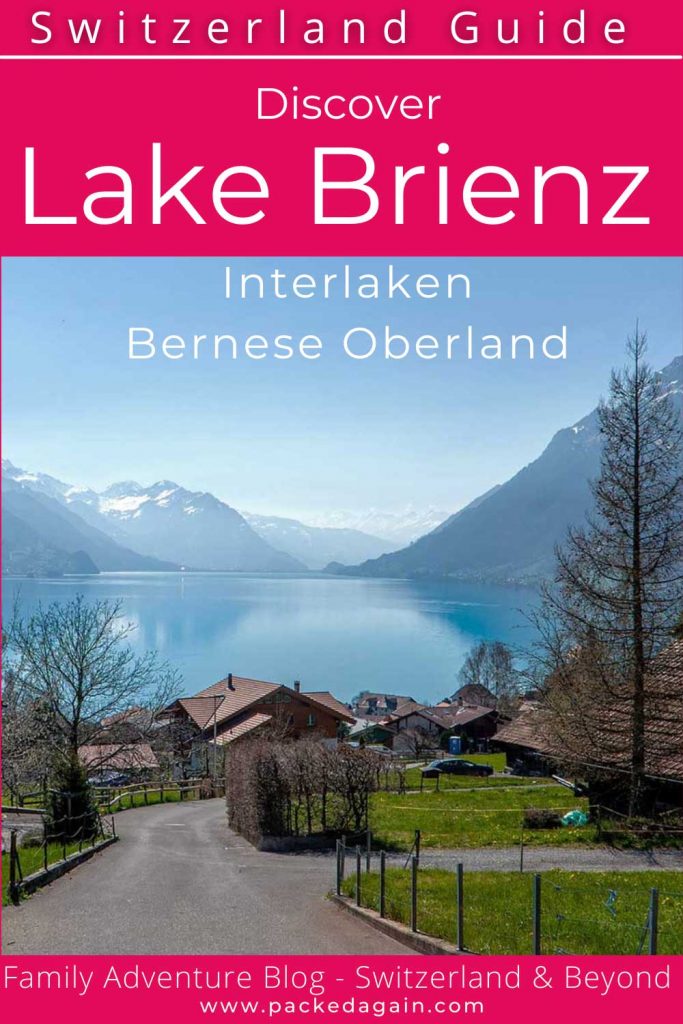 A pin for a guide of Lake Brienz in Switzerland