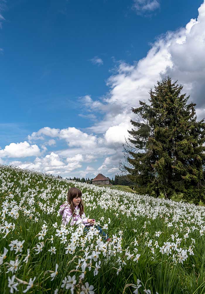 a girl sitting in white Narcissus at the Les Pléiades trail in Montreux