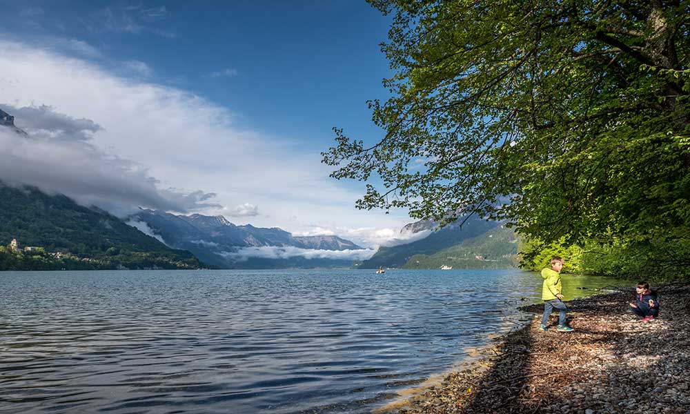 Lake Brienz at the Interlaken side 