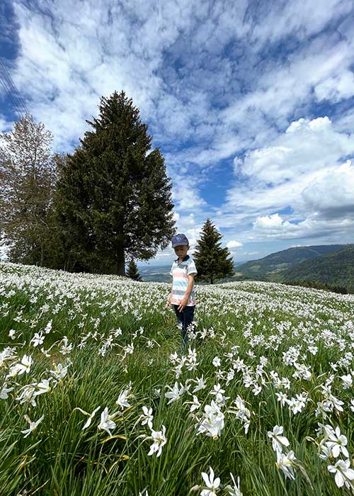 boy within a field of narcissus at the Les Pléiades Narcissus Spring hike - Montreux