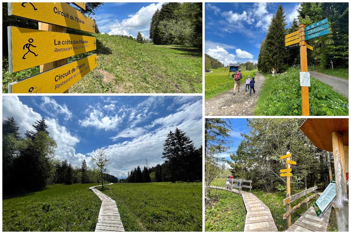 images from the narcissus trail in Montreux