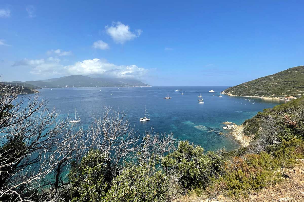 the enfola bay in elba