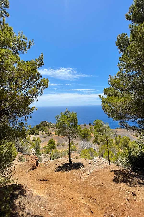 Bike hike trail on Calamita mountain on Elba