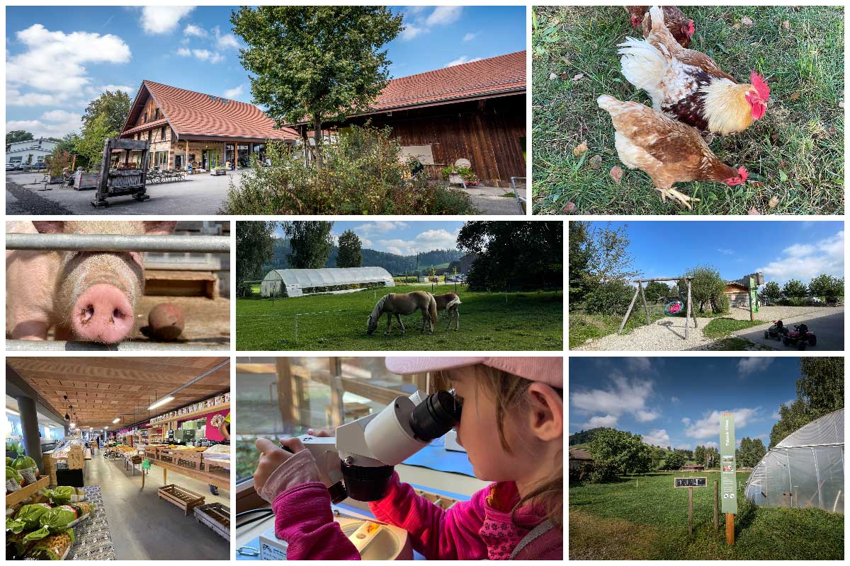 Bilder vom Biohof Burgrain mit Familie und Tieren