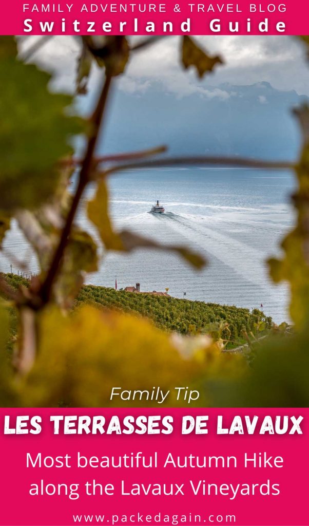 pin to travel guide Lavaux Vineyards wine trail