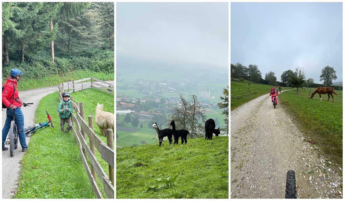 Familie auf ihren Fahrrädern, mit Lamas im hintergrund in Willisau