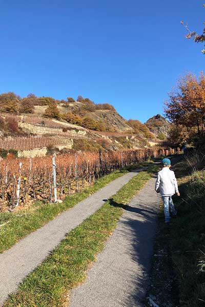 vineyards hike in sion