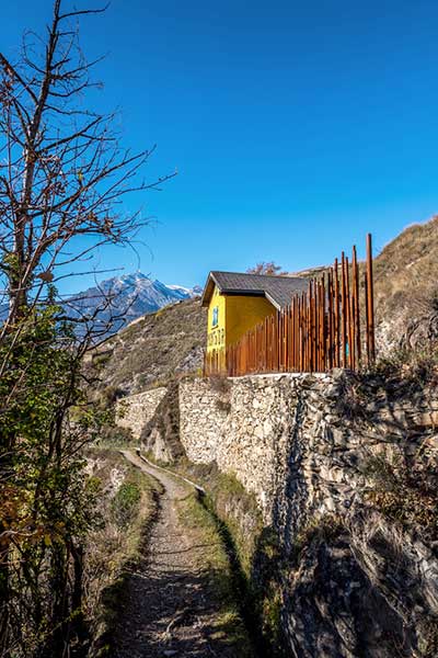 hiking within the vineyards