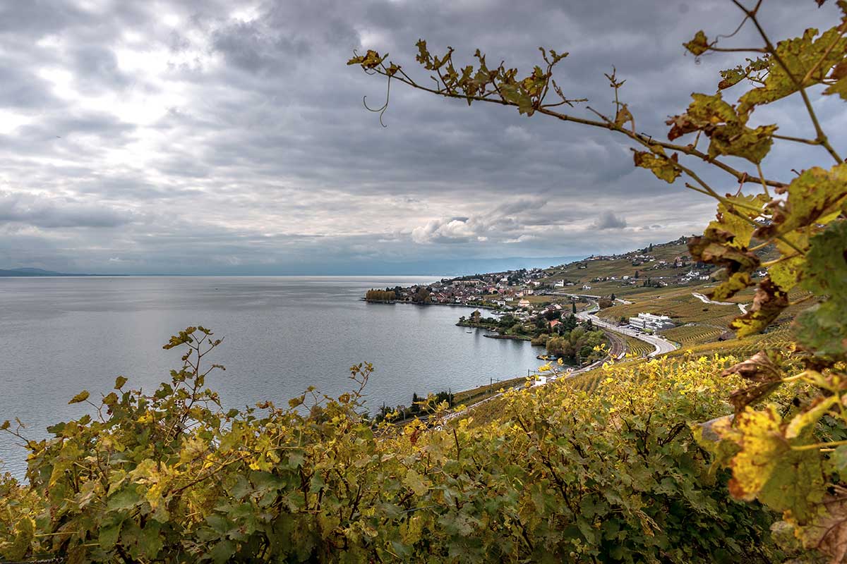 village cully from the lavaux vineyards 