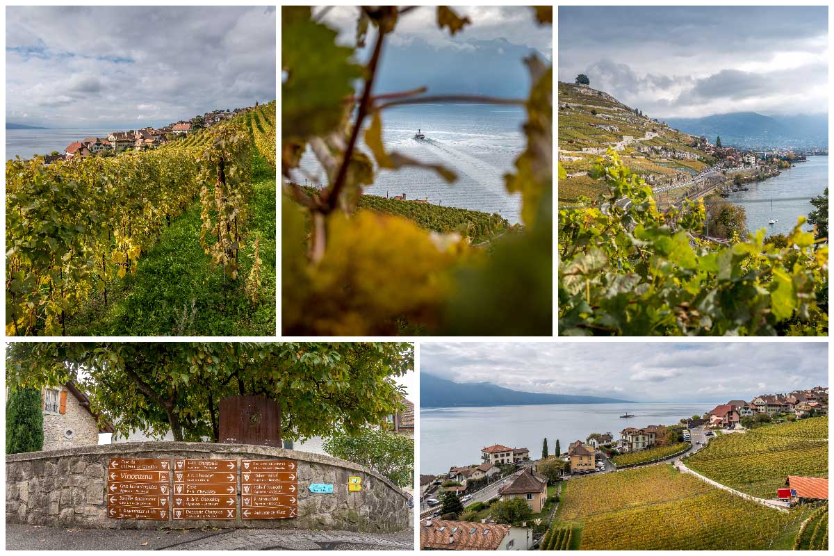 images along the Lavaux Wine trail