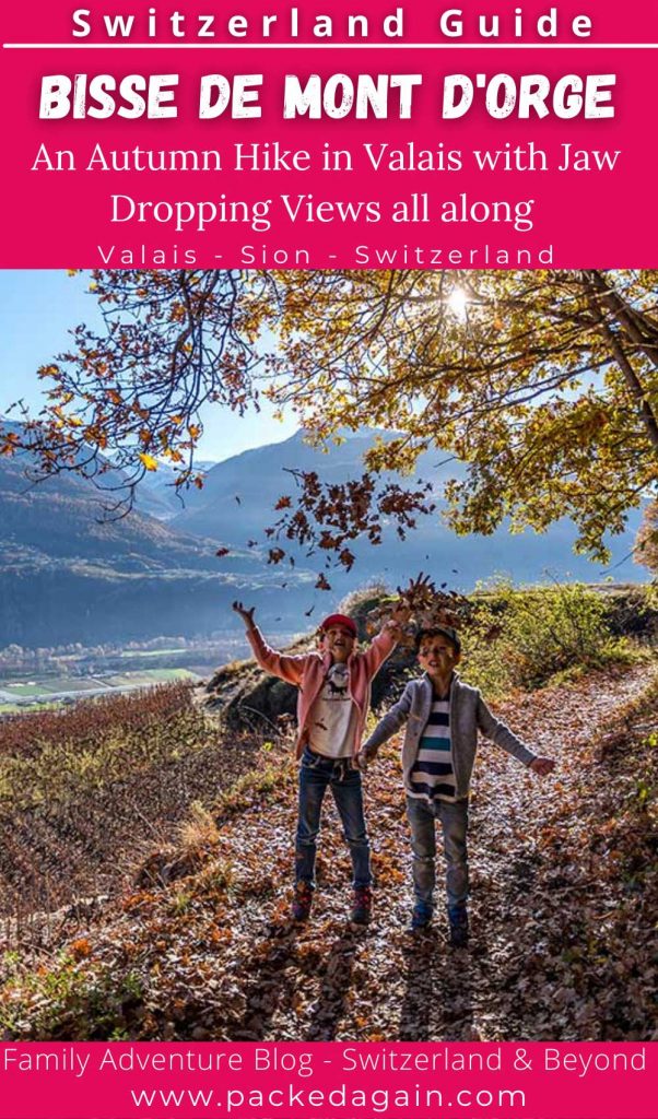 guide pin to the autumn hike along the bisse de mont d'Orge in Sion
