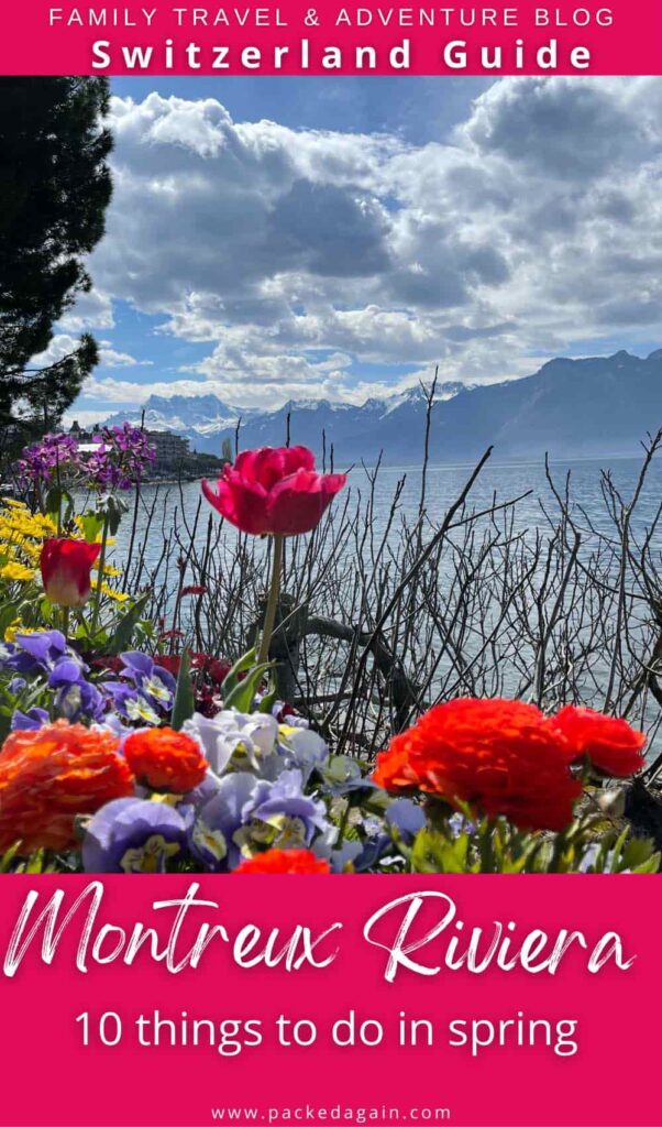 spring flower on a guide to things to do in Montreux