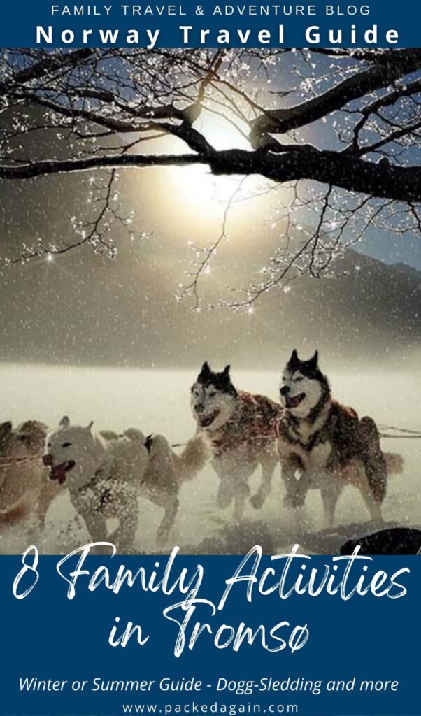 dogg sledding in norways tromsø, doggs running in the snow