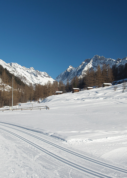 cross country ski track in sunny lötschental