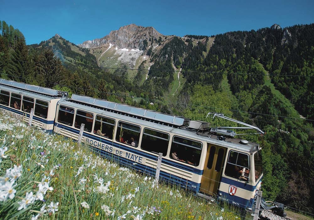 train riding down the mountain close to spring flowers in Montreux