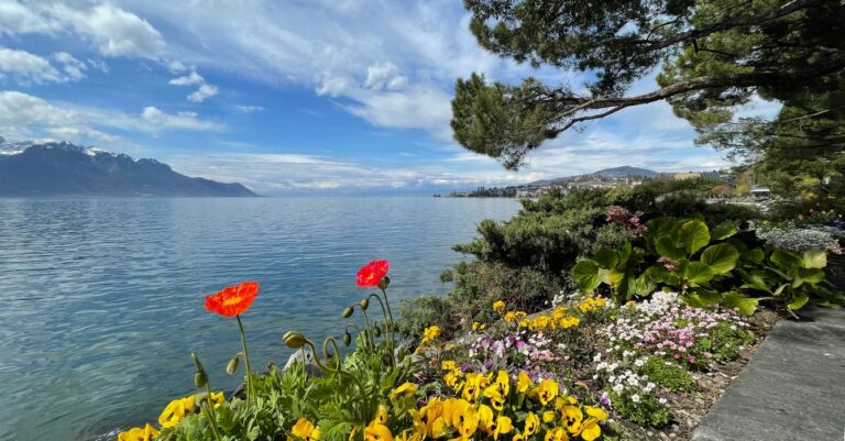 spring flower in Montreux at the lake