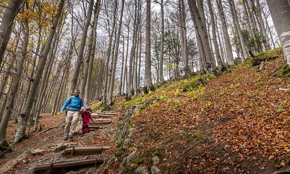 Family hiking in the autumn leaves