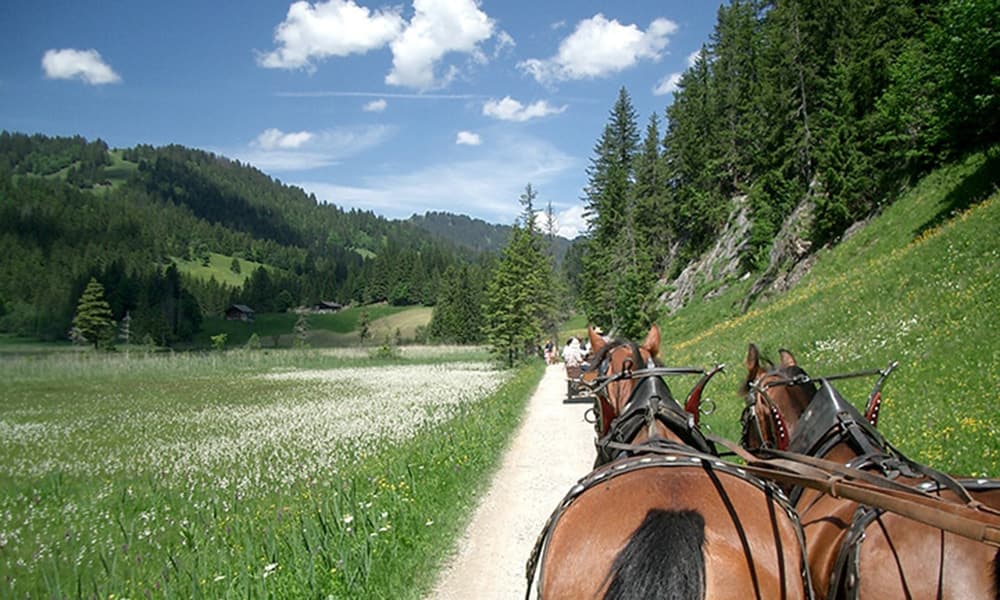 horse carriage at Lauenensee