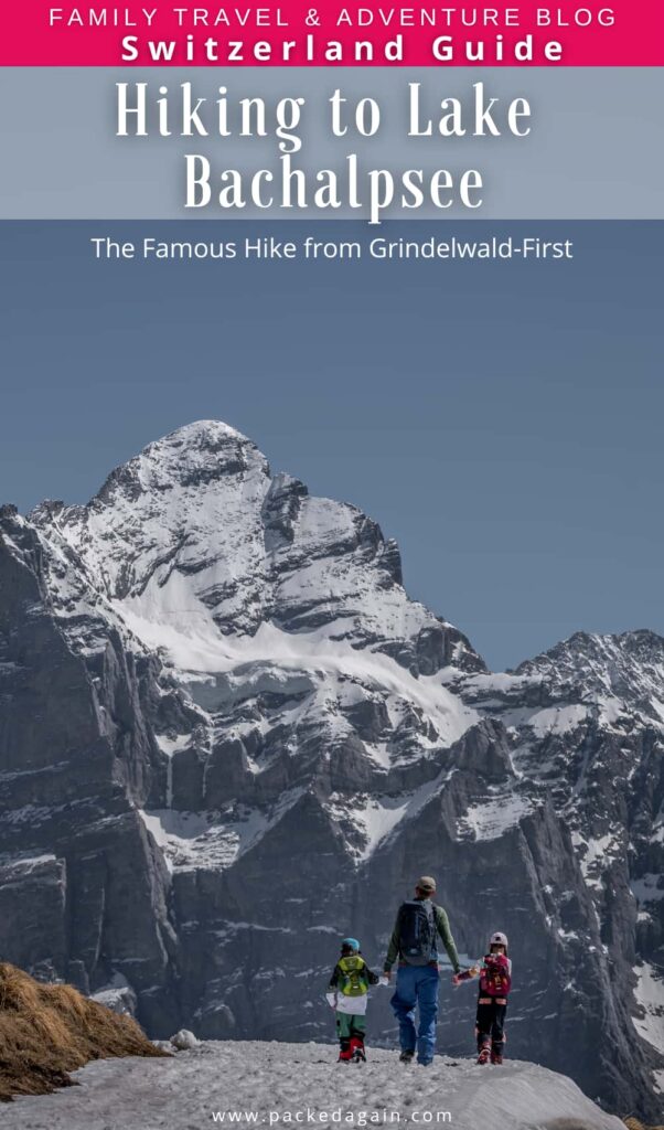 wetterhorn mountain and a family hiking to Bachalpseenin Grindelwald-First