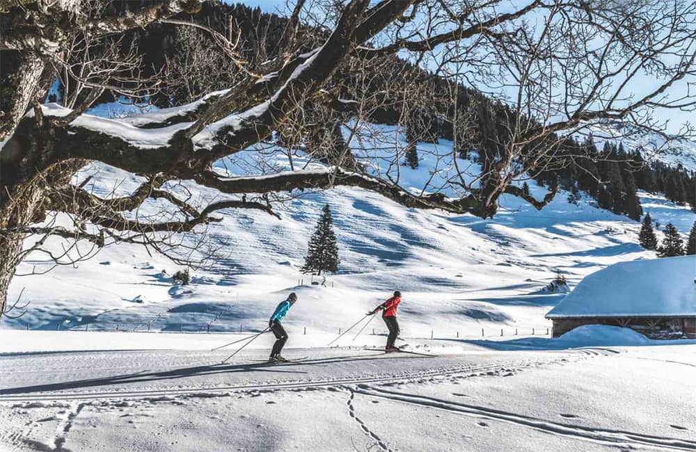 cross country skiers in Lauenen Gstaad