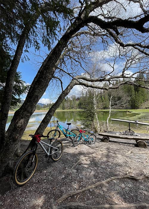 Bikes at Lake Lauenen against a tree
