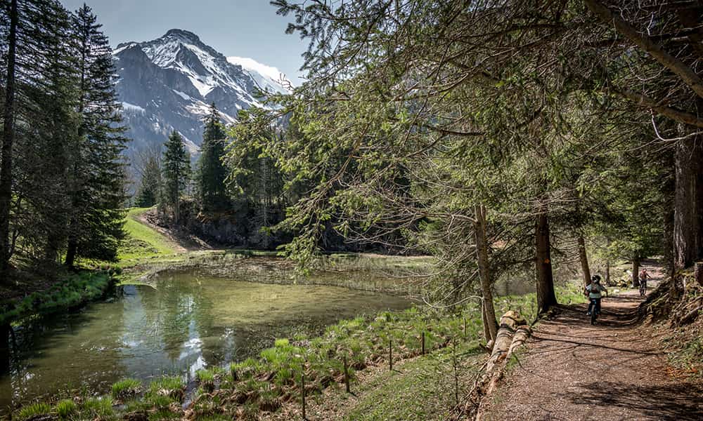 children cycling around the Swiss alpine Lake Lauenen