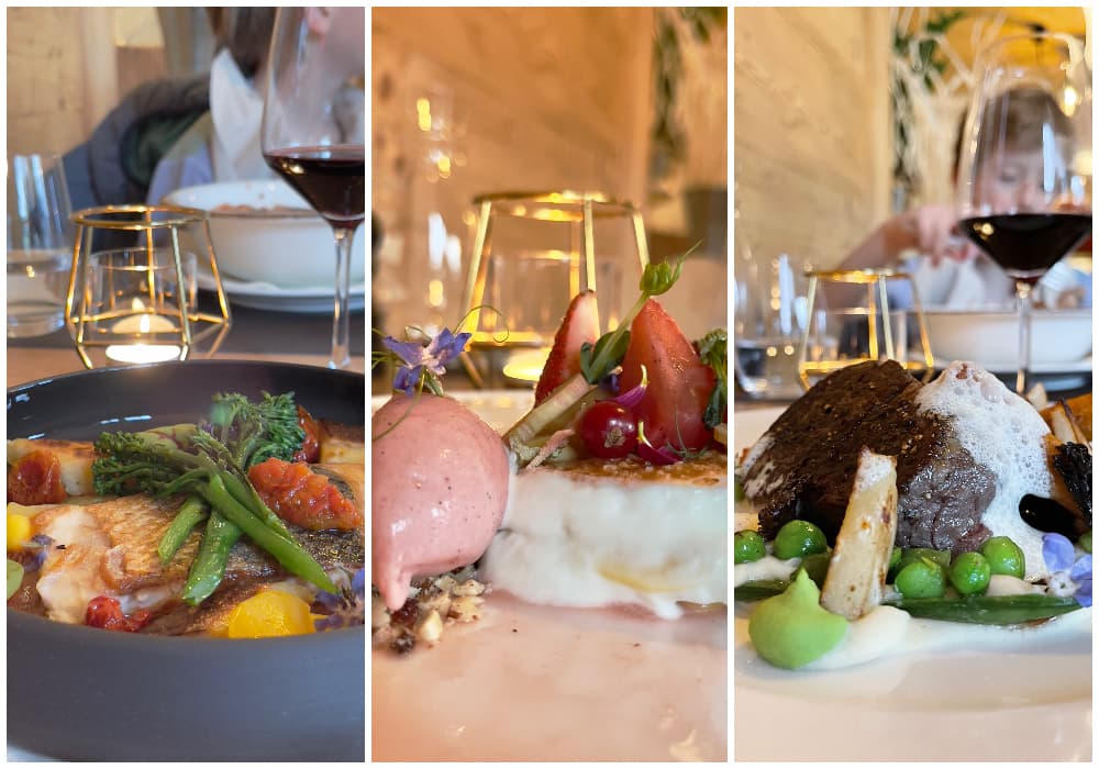 gourmet food plates at Hotel Alpenland in Lauenen served nicely