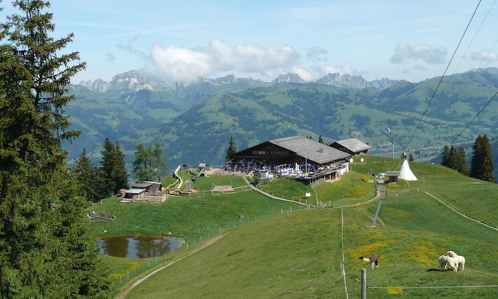 Höhe Wispile Restaurant and playground near Gstaad