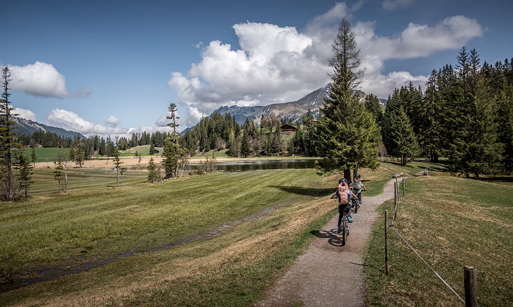 children arriving at Lake Lauenen during summer day with their bikes