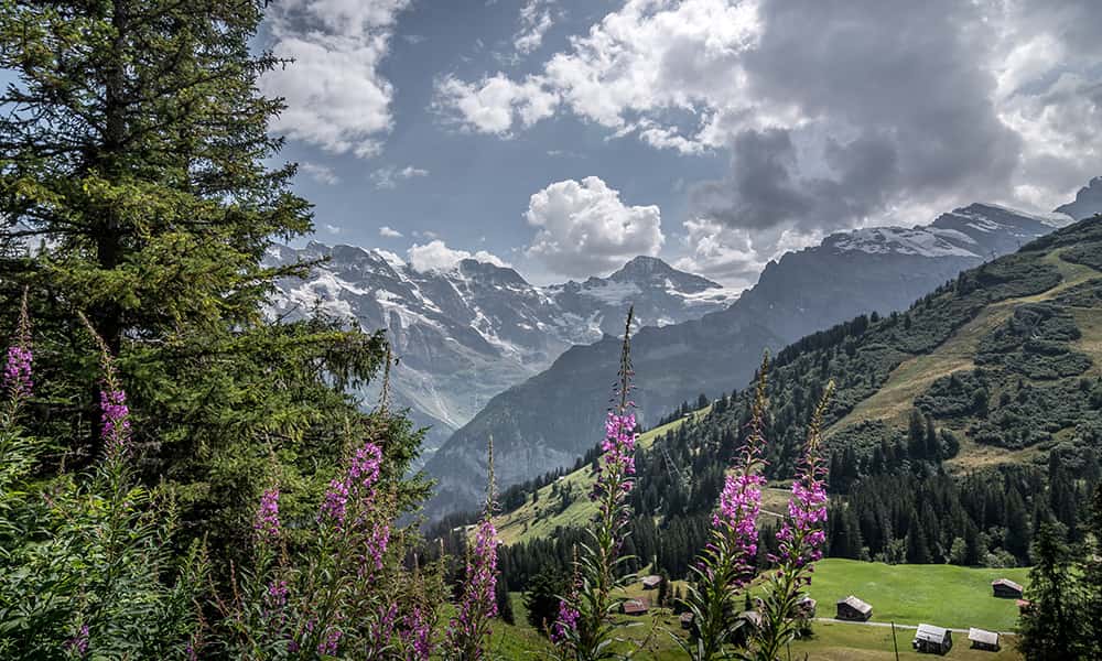 mountain views in the Jungfrau region