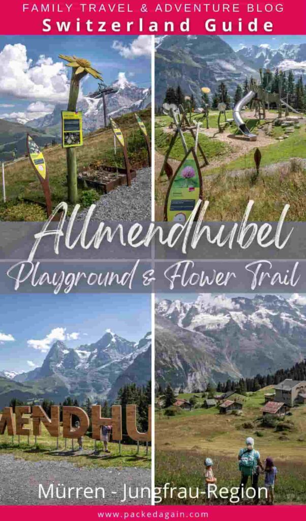 different images on a pinterest pin from the Allmendhubel Playground and Flower trail in Mürren