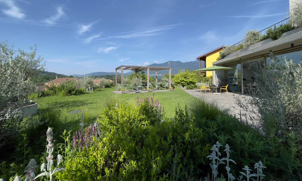 a summer garden at a B&B in ticino