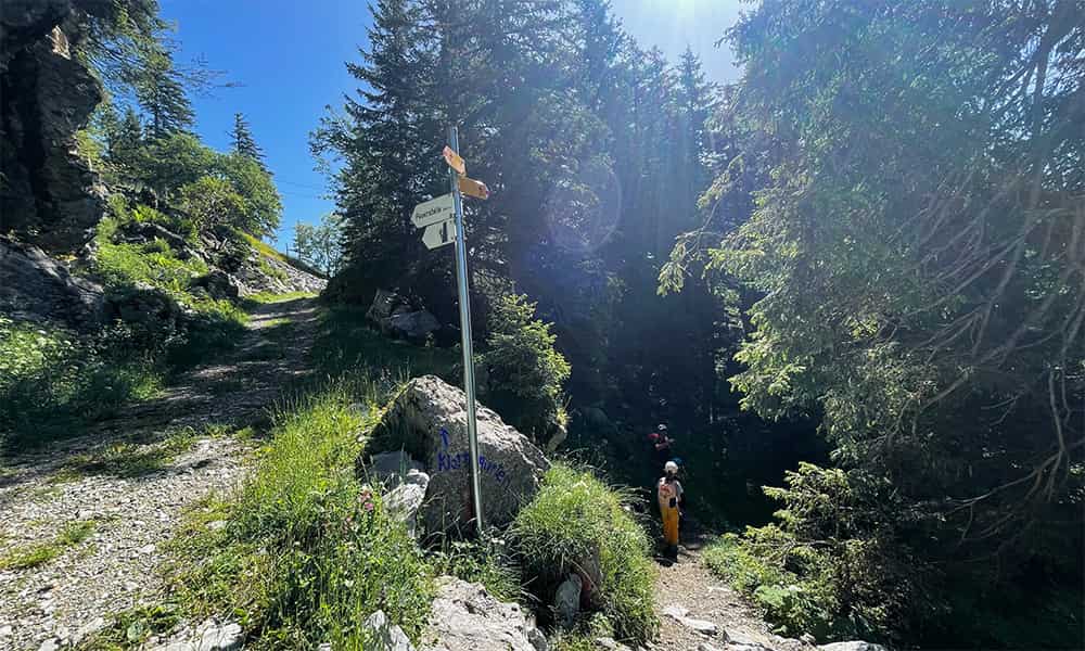 a family in the forest on the hiling trail goldi safari from klewenalp