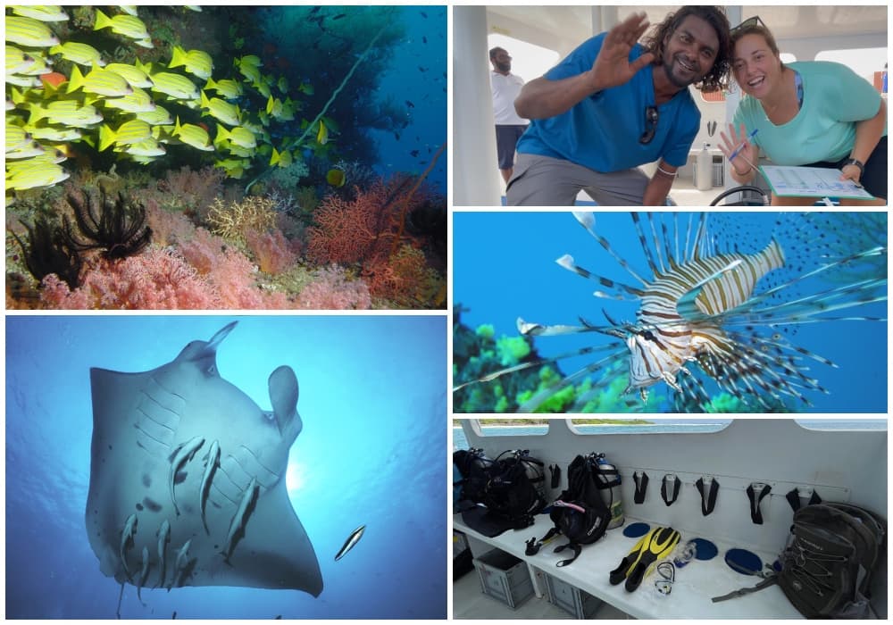 collage of diving photos of maldives