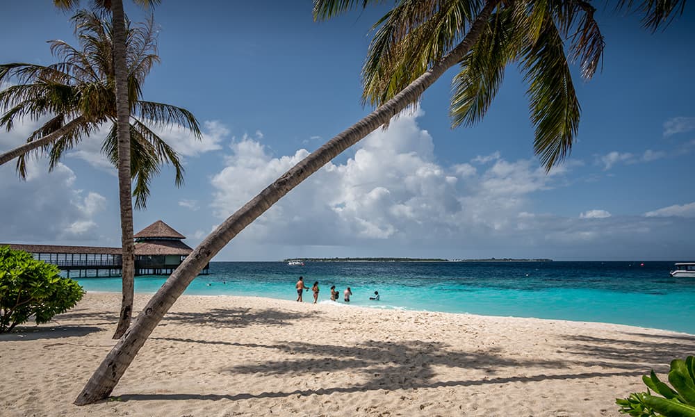 maldivian beach and people going snorkeling 
